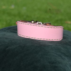Leather Collar - Size 13" - 16"