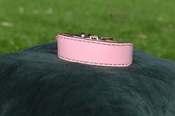 Leather Collar - Size 13" - 16"