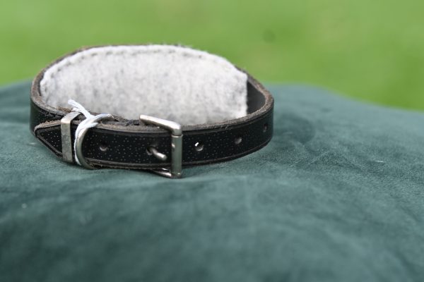 Leather Collar - 9" - 13" - Image 3