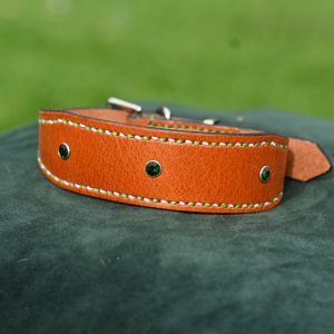 Leather Collar - 12" - 15.5"