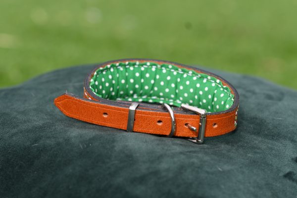 Leather Collar - 12" - 15.5" - Image 2