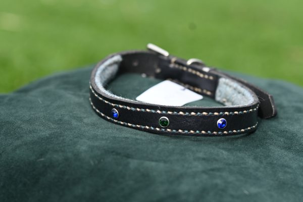 Leather Collar - Size 16"-20"