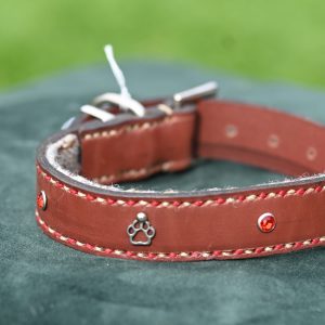 Leather Collar - 11.5" -15.5"