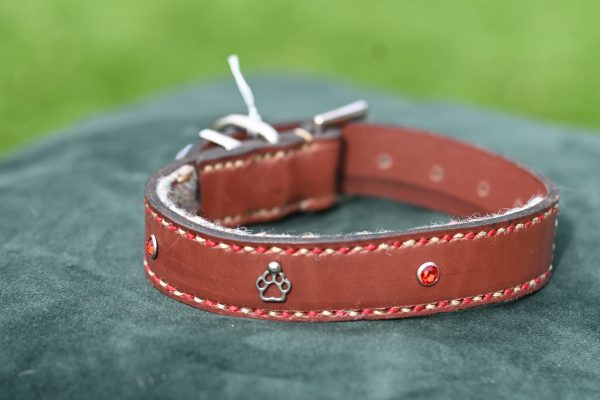 Leather Collar - 11.5" -15.5"