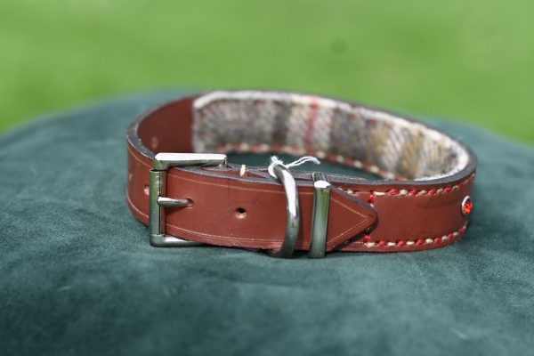 Leather Collar - 11.5" -15.5" - Image 3