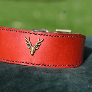 Leather Collar - Size 15" - 18.5"