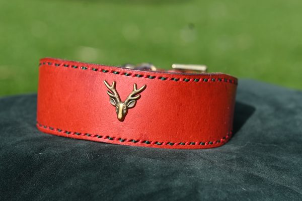 Leather Collar - Size 15" - 18.5"