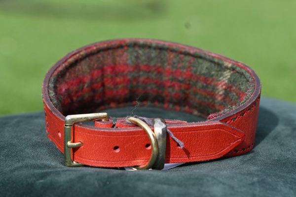 Leather Collar - Size 15" - 18.5" - Image 3