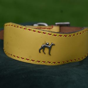 Leather Collar - 14" - 17"