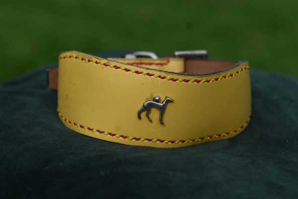 Leather Collar - 14" - 17"