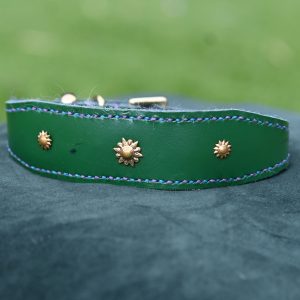Leather Collar - 12" - 15.5"
