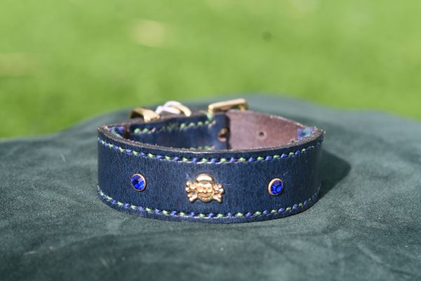 Leather Collar - Size 10" - 12.5"