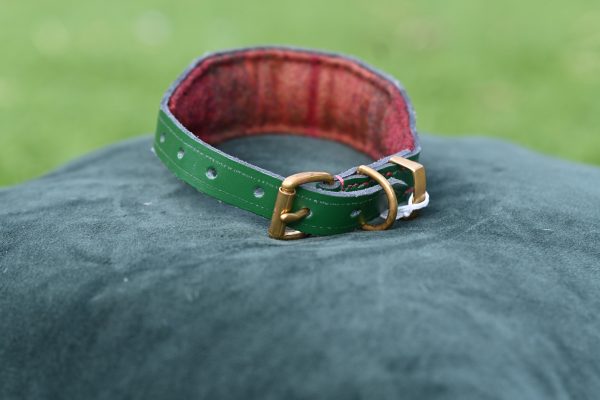 Leather Collar - 11" -15" - Image 3