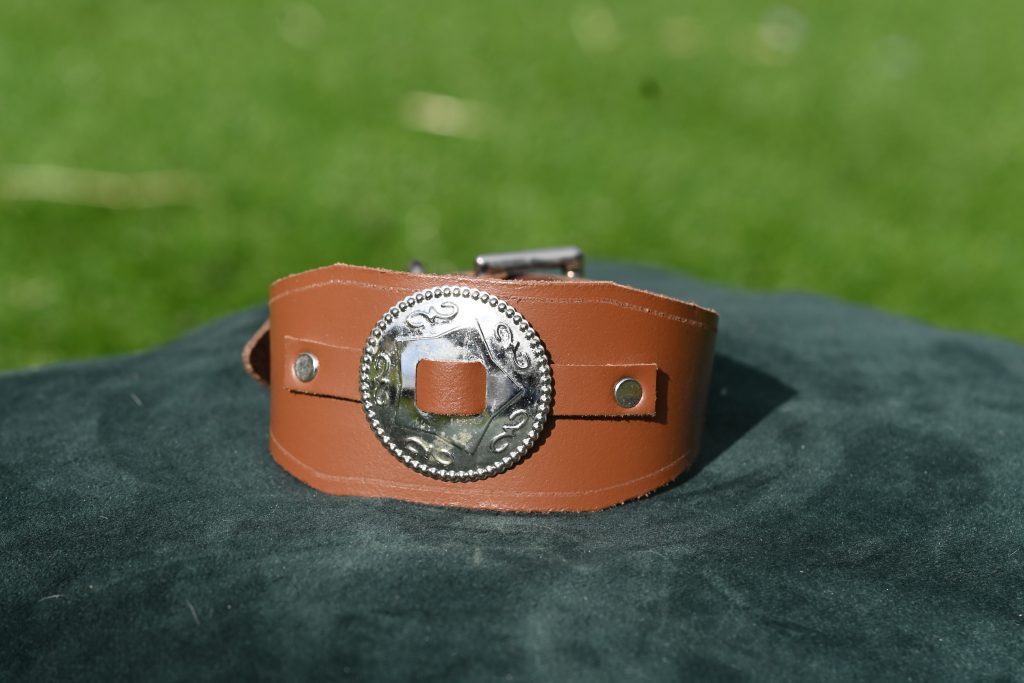 Leather Collar - 9" - 12"