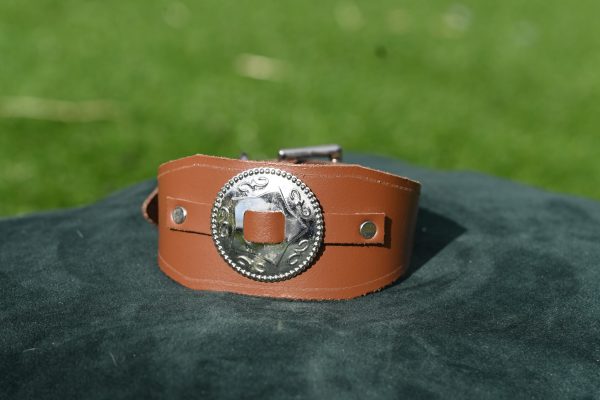 Leather Collar - 9" - 12"