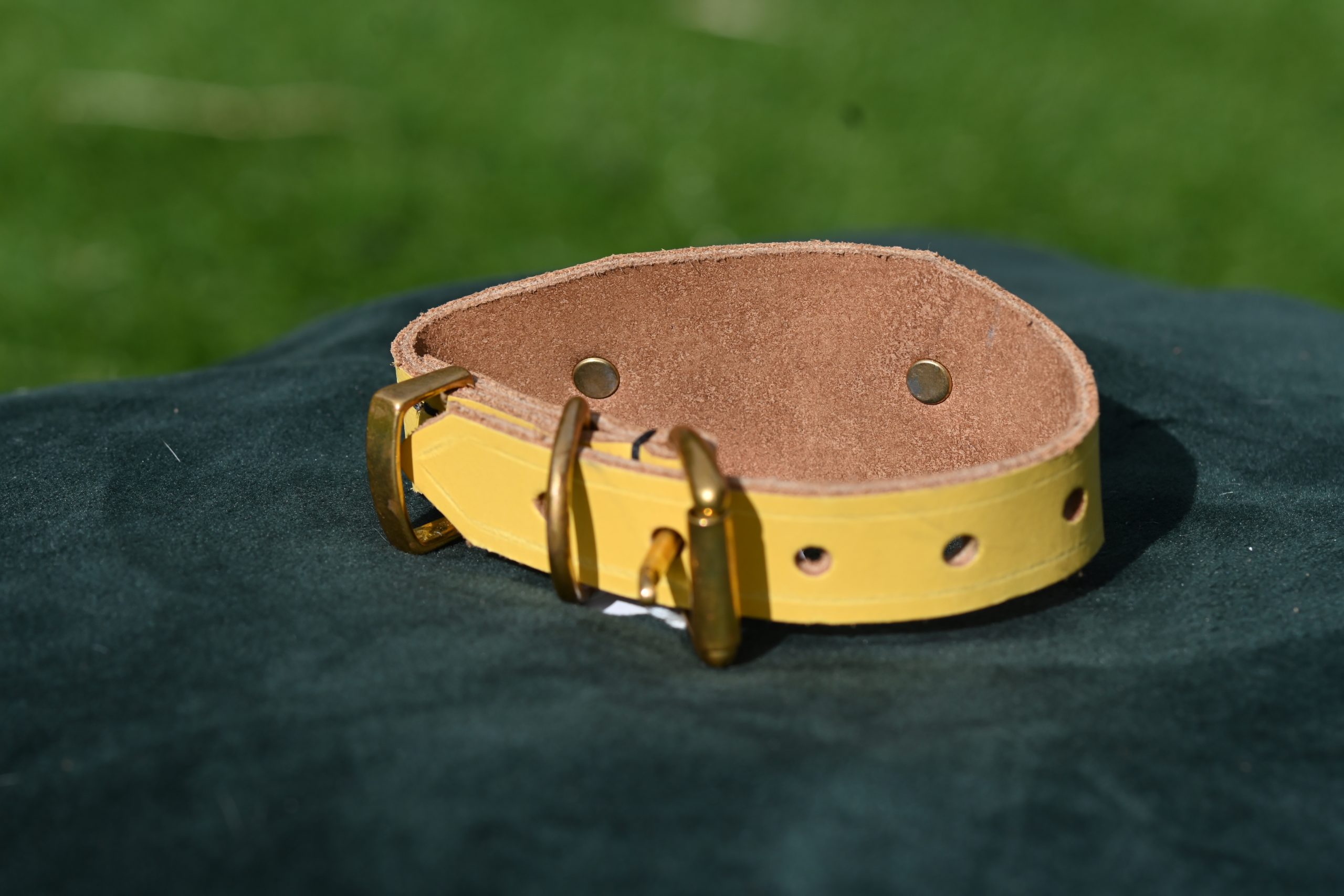 Leather Collar - 7.5" - 10.5" - Image 3