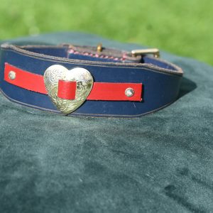 Leather Collar - 12" - 15.5"