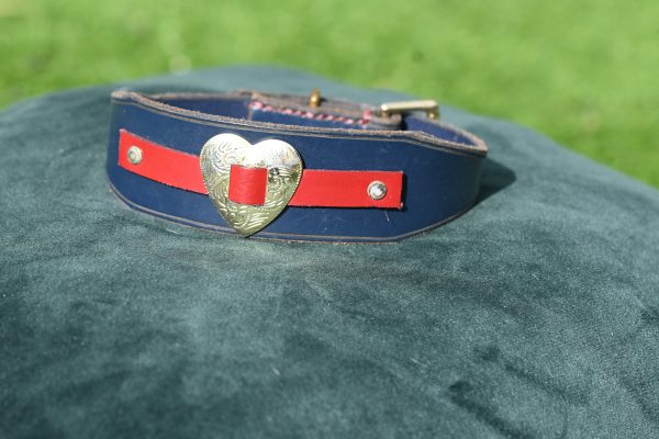 Leather Collar - 12" - 15.5"