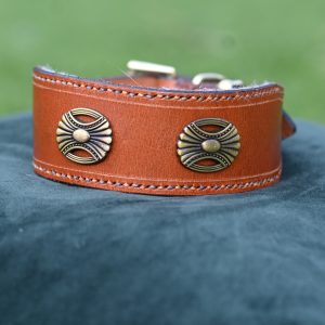 Leather Collar - 14" - 17"