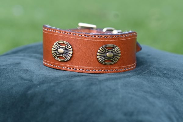 Leather Collar - 14" - 17"