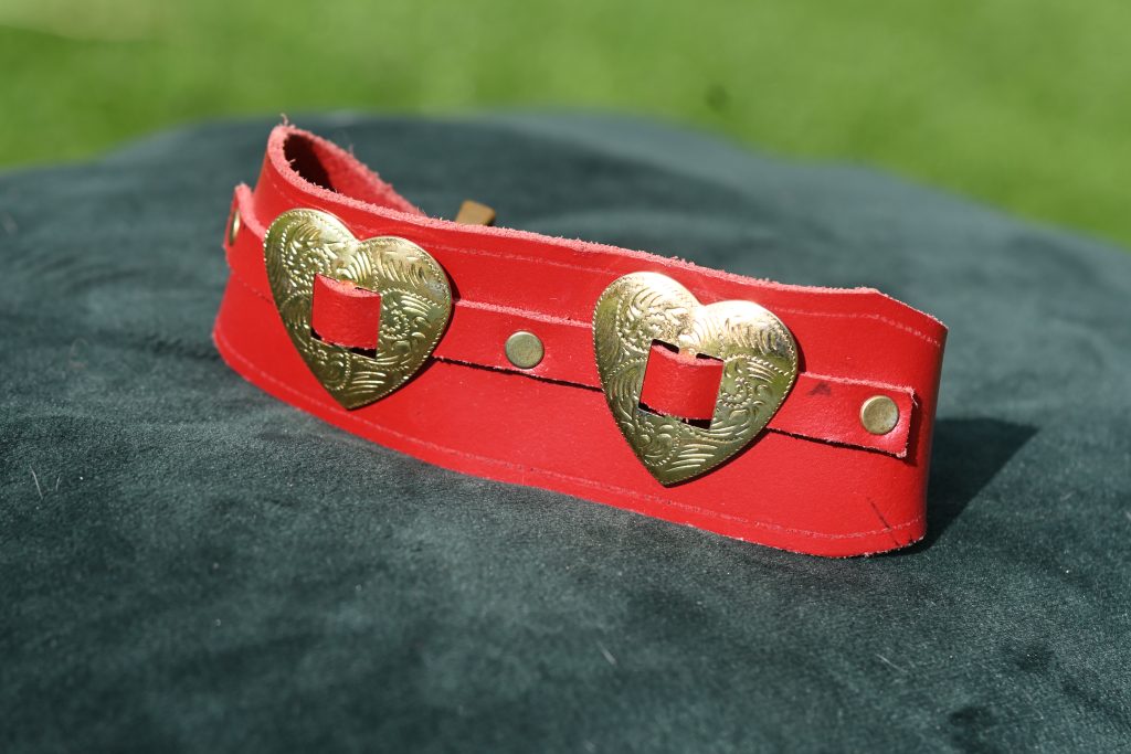 Leather Collar - 10.5" - 12"