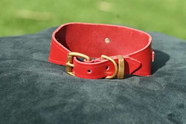 Leather Collar - 10.5" - 12" - Image 3
