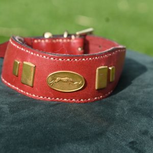 Leather Collar - Size 14.5" -18"
