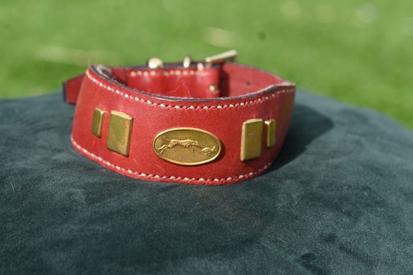 Leather Collar - Size 14.5" -18"