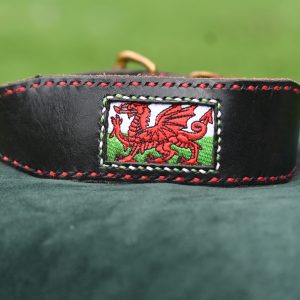 Leather Collar - 13" - 17"