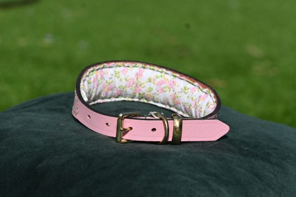 Leather Collar - Size 13" - 16" - Image 2