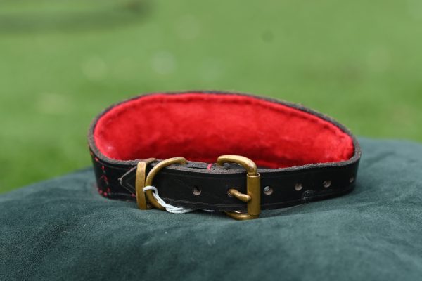 Leather Collar - 13" - 17" - Image 3