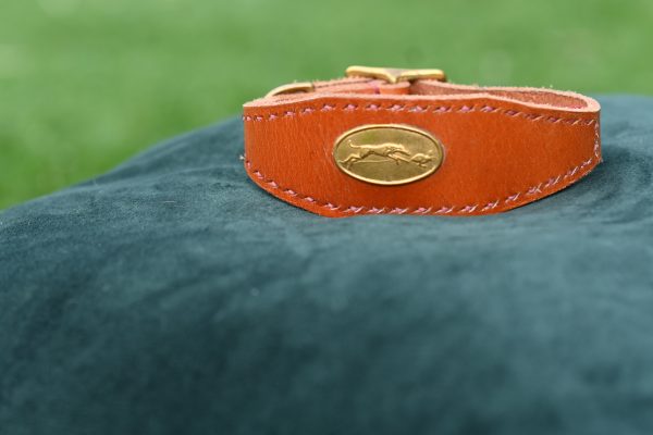Leather Collar - 9" - 13"
