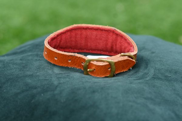 Leather Collar - 9" - 13" - Image 3