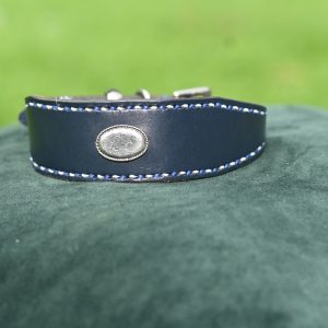 Leather Collar - 11.5" - 14"