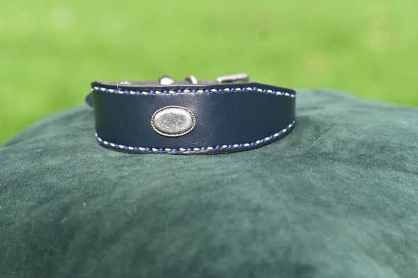 Leather Collar - 11.5" - 14"