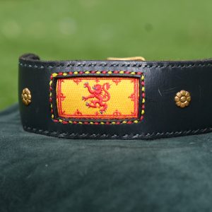 Leather Collar - 14" - 17.5"
