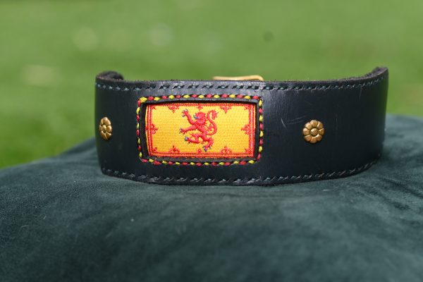 Leather Collar - 14" - 17.5"