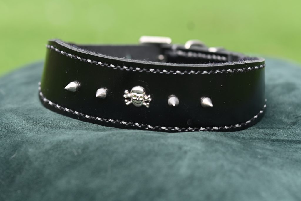 Leather Collar - 14" - 17"