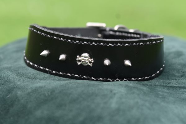 Leather Collar - 14" - 17"