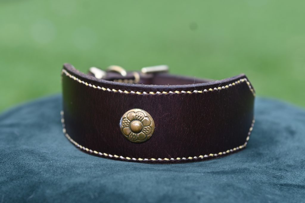 Leather Collar - 12.5" - 16"