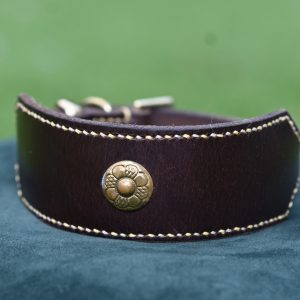 Leather Collar - 12.5" - 16"