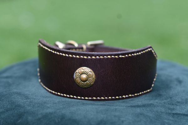 Leather Collar - 12.5" - 16"