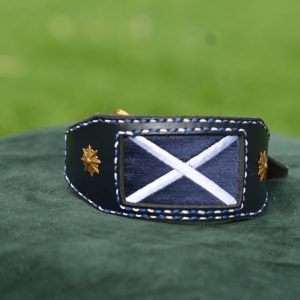 Leather Collar - Size 10" - 12"