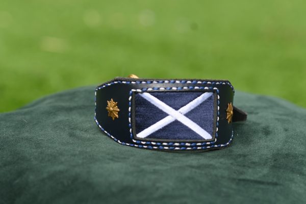 Leather Collar - Size 10" - 12"