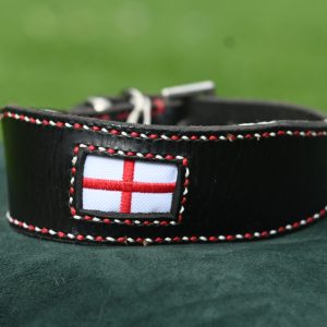 Leather Collar - 14" - 16.5"