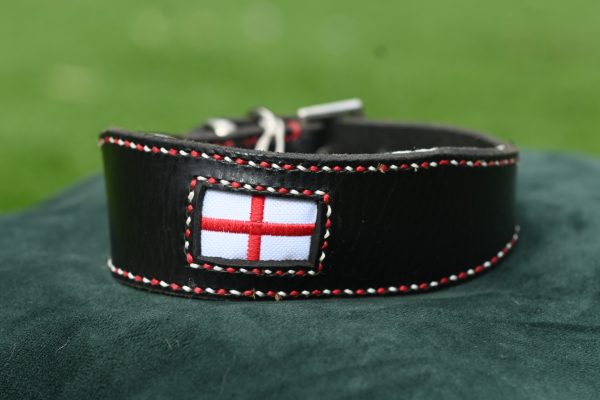 Leather Collar - 14" - 16.5"
