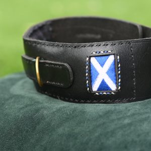 Leather Collar - 18.5" - 22"