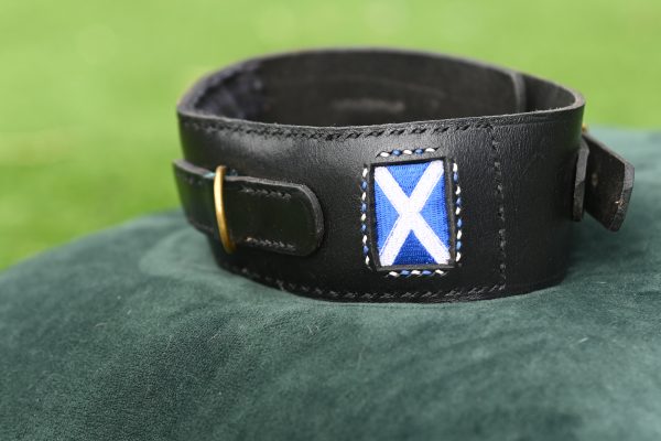 Leather Collar - 18.5" - 22"