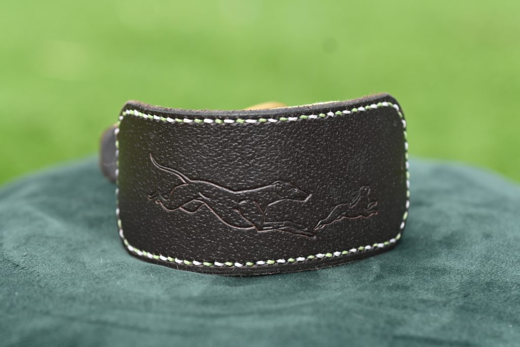 Leather Collar - Size 10" - 13"