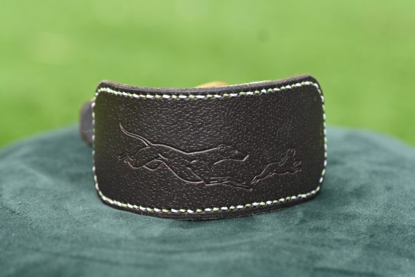 Leather Collar - Size 10" - 13"